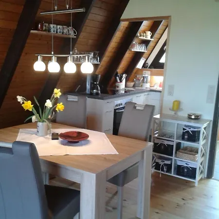 Hébergement de vacances Eifeler Finnhaus Mit Aussensauna Dockweiler